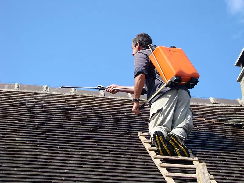 Un homme qui nettoie la mousse sur sa toiture à l'aide d'un pulvérisateur à pression